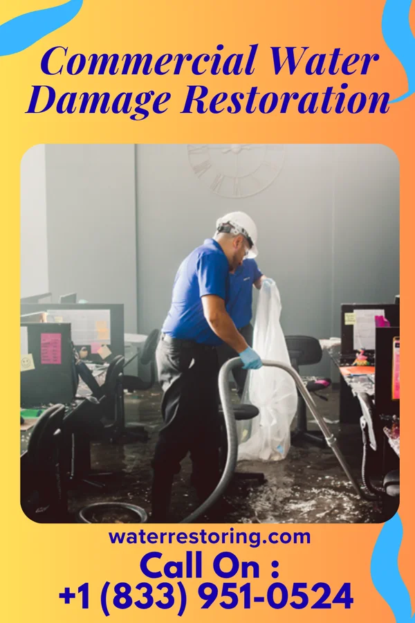 Commercial Water Damage Restoration in Coker Creek, TN