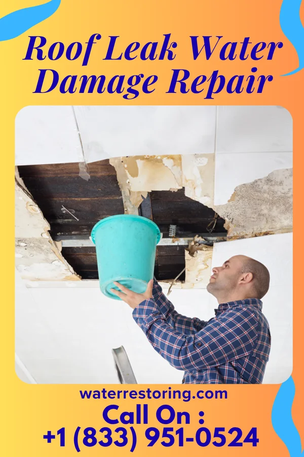 Roof Leak Water Damage Repair in Coker Creek, TN